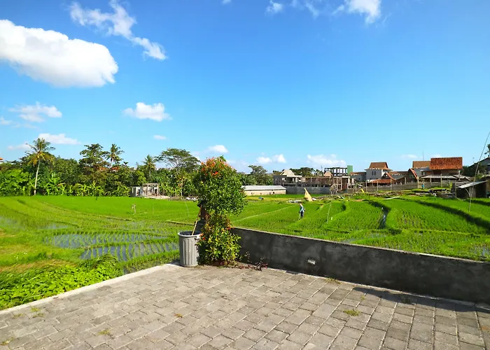 Pererenan Nengah 2* Canggu (Bali)