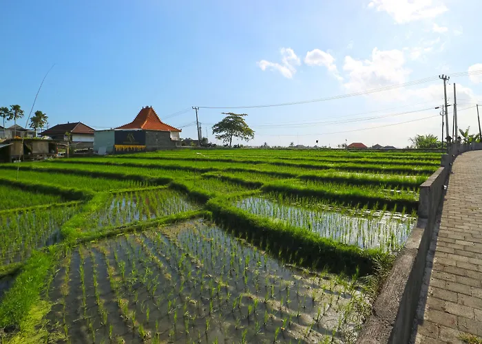Pererenan Nengah Canggu (Bali)